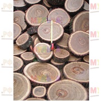 Садовая дорожка из дубовых спилов