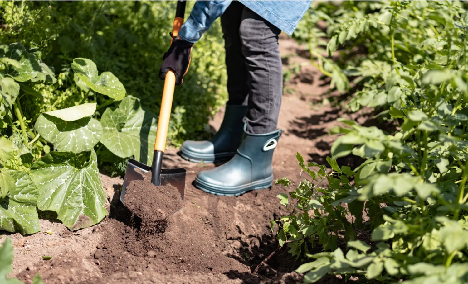 Plantic Лопата штыковая Terra Plus, арт 11011-01, шт