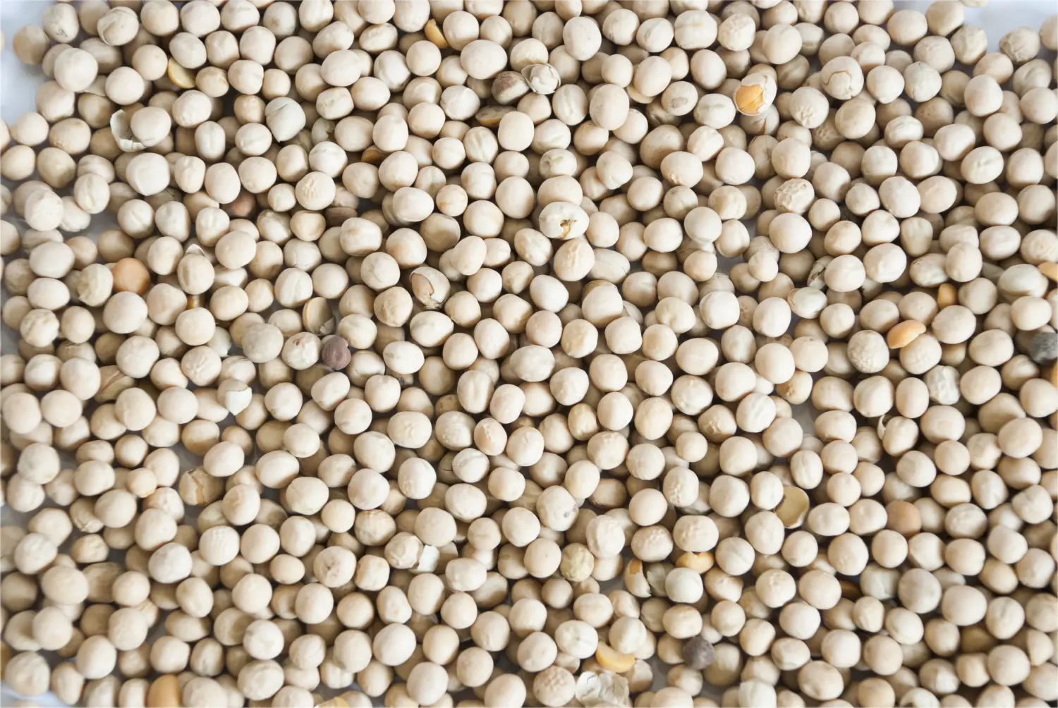 Сидерат Горох, 0,5 кг