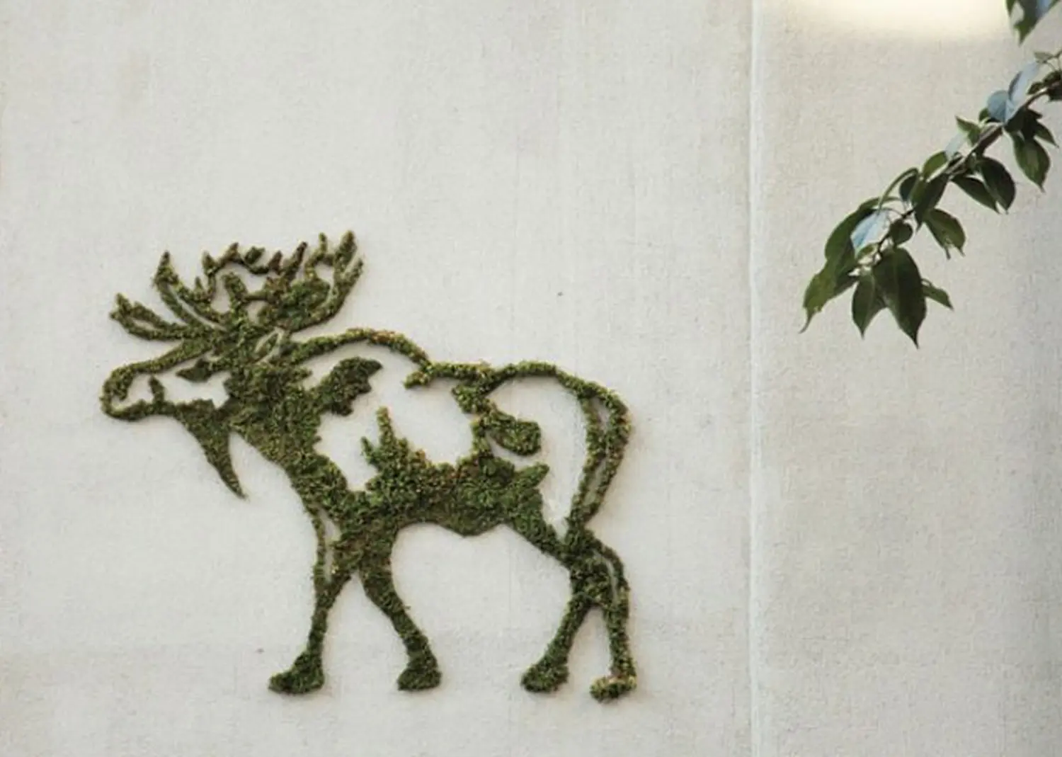 Мох натуральный, зеленый, лоток 30*40 см (без лотка), шт