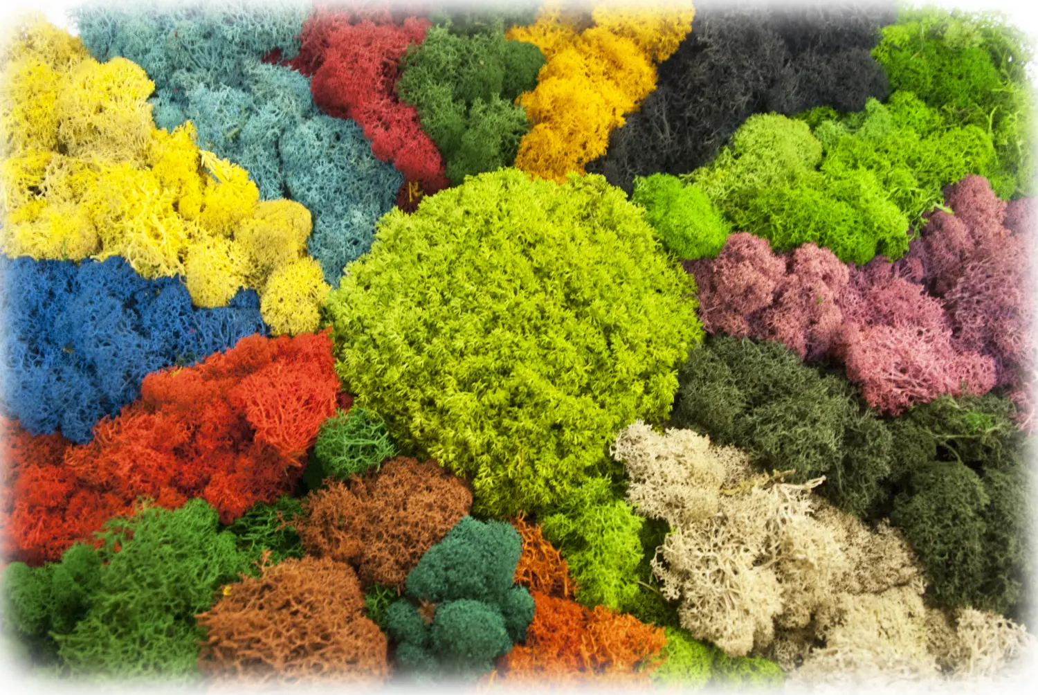 Мох стабилизированный №22 кофе, 30*40 см, пак