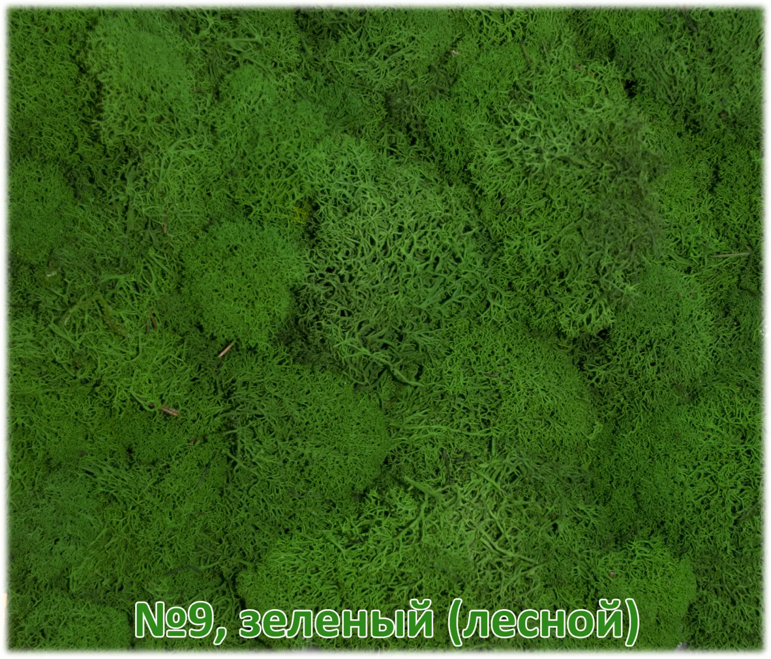 Мох стабилизированный №9 зеленый лесной, 30*40 см, пак