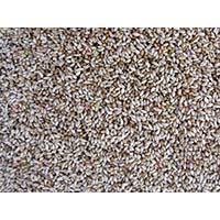 Тимофеевка луговая станет основой для аккуратного и зимостойкого газона