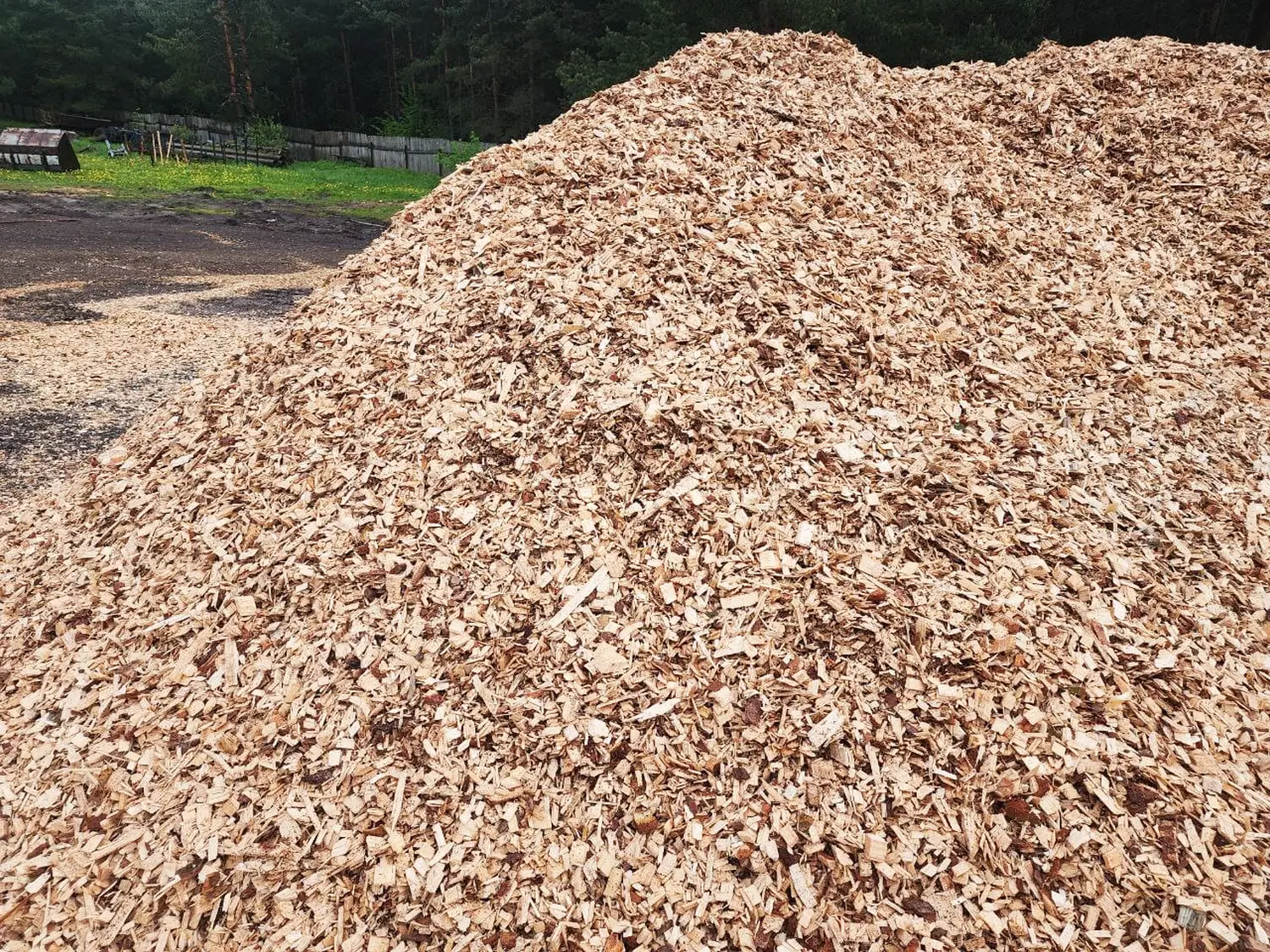 Щепа натуральная, хвойных пород, 60 л