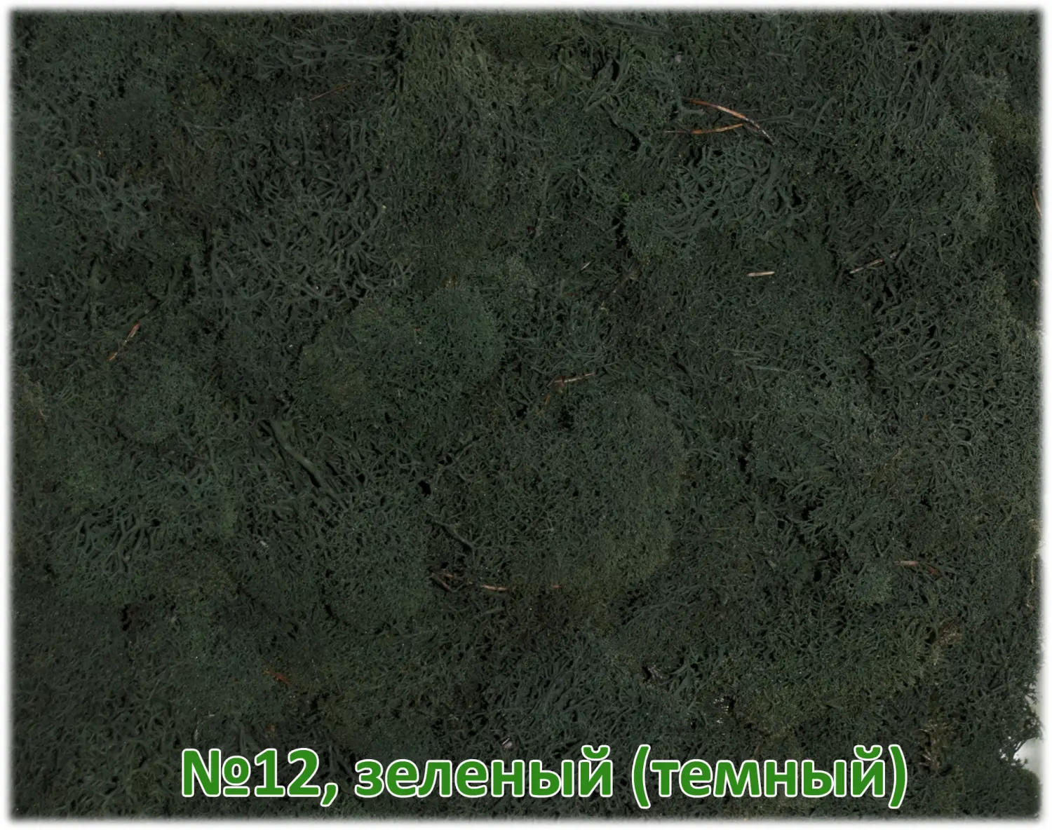 Мох стабилизированный №12 темно-зеленый, 30*40 см, пак