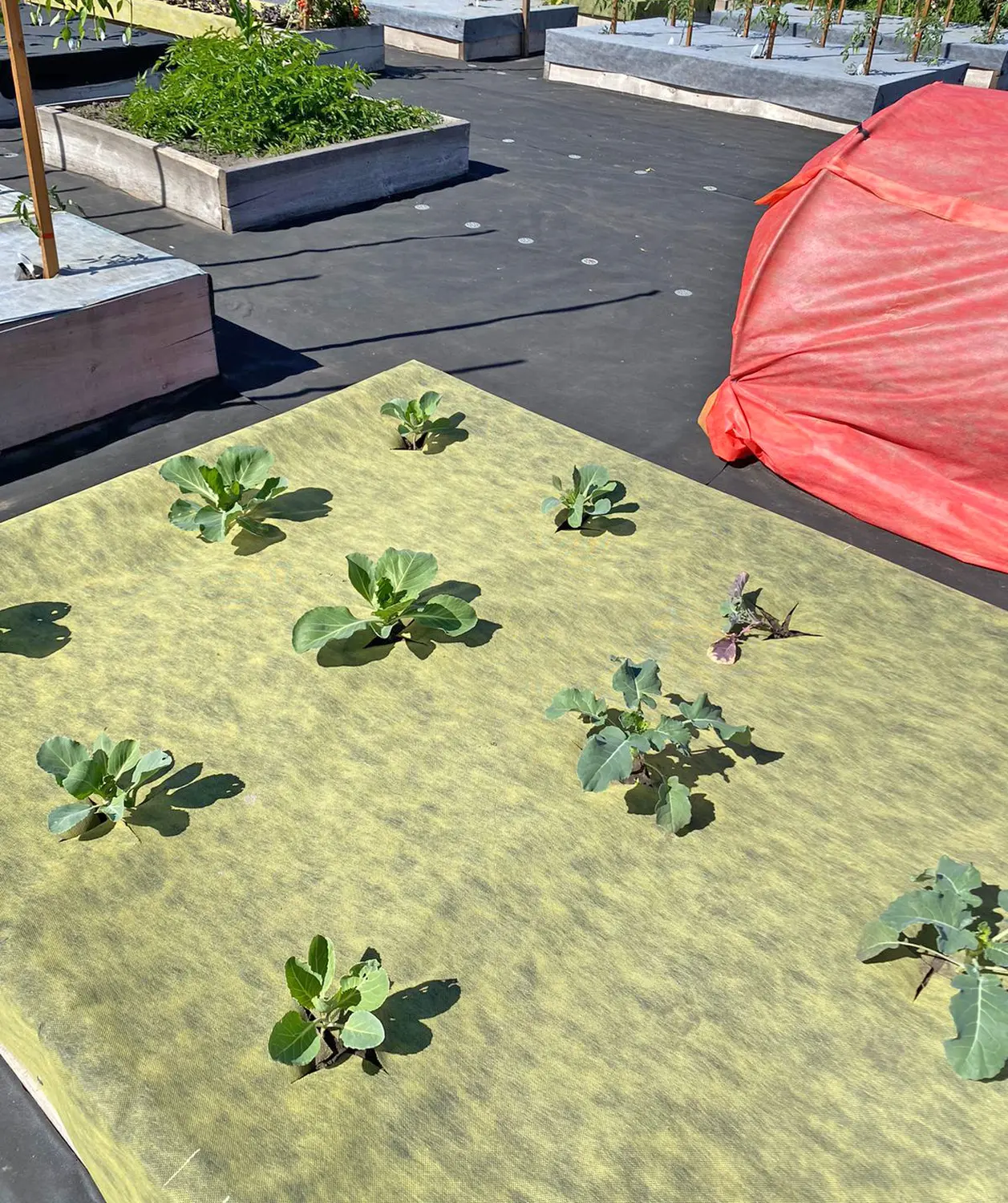 Агротекс двойная защита Красно-желтый 40, 3,0*100 м, рул