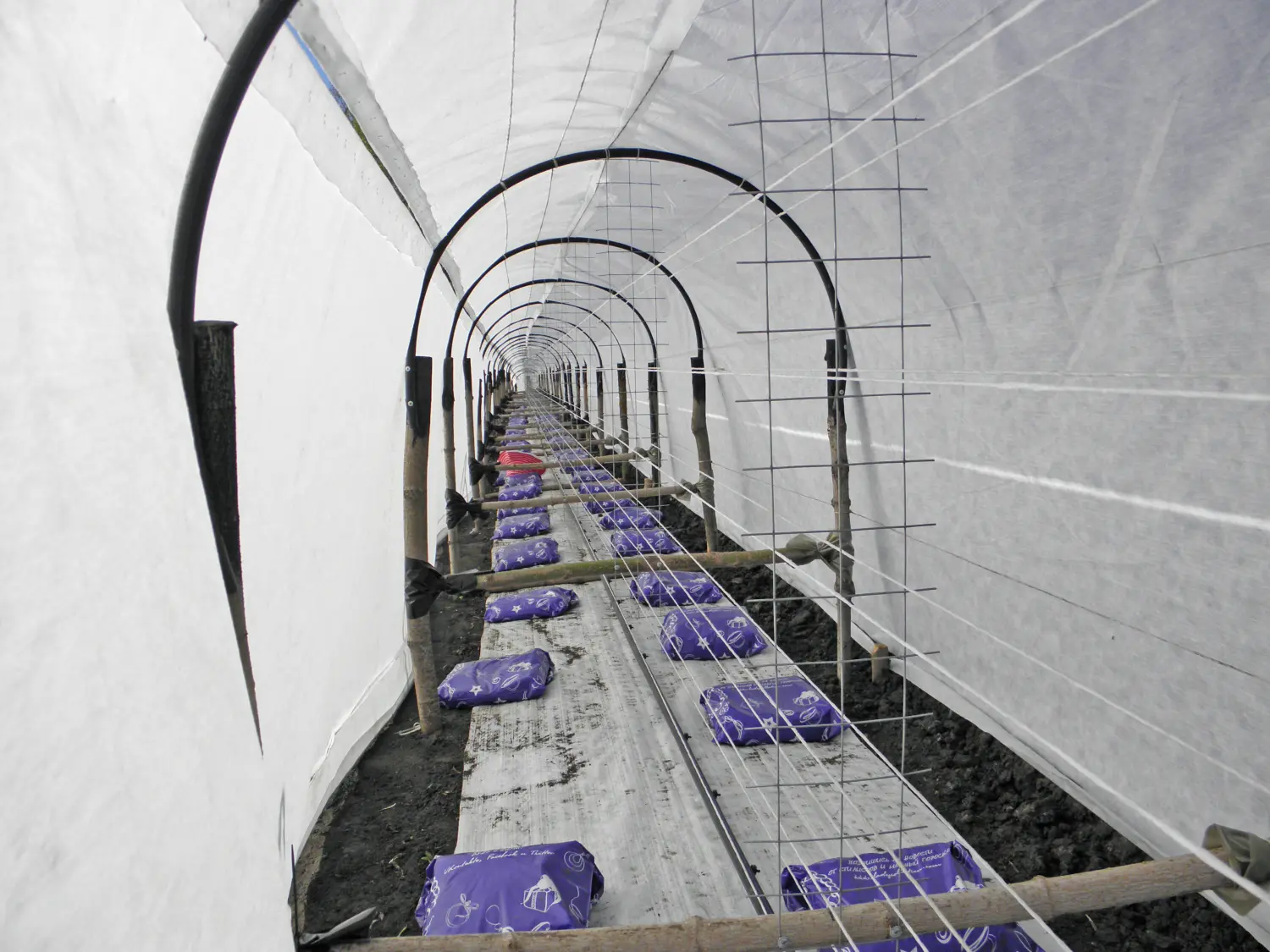 Агротекс двойная защита арм. Белый 60, 3,0*10 м, уп