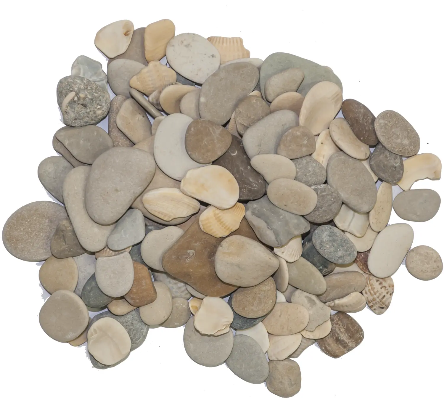 Галька с ракушкой каспия №4, 10-15 мм, ~30! кг 