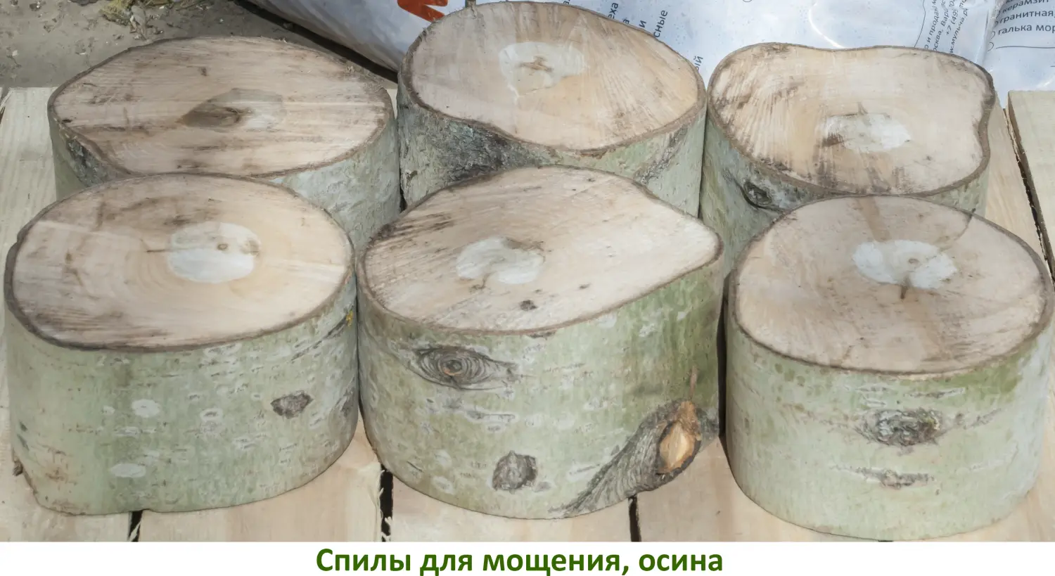 Спилы поквадратно дуб для мощения, (Ø 10-35см, h 8см), м.кв.