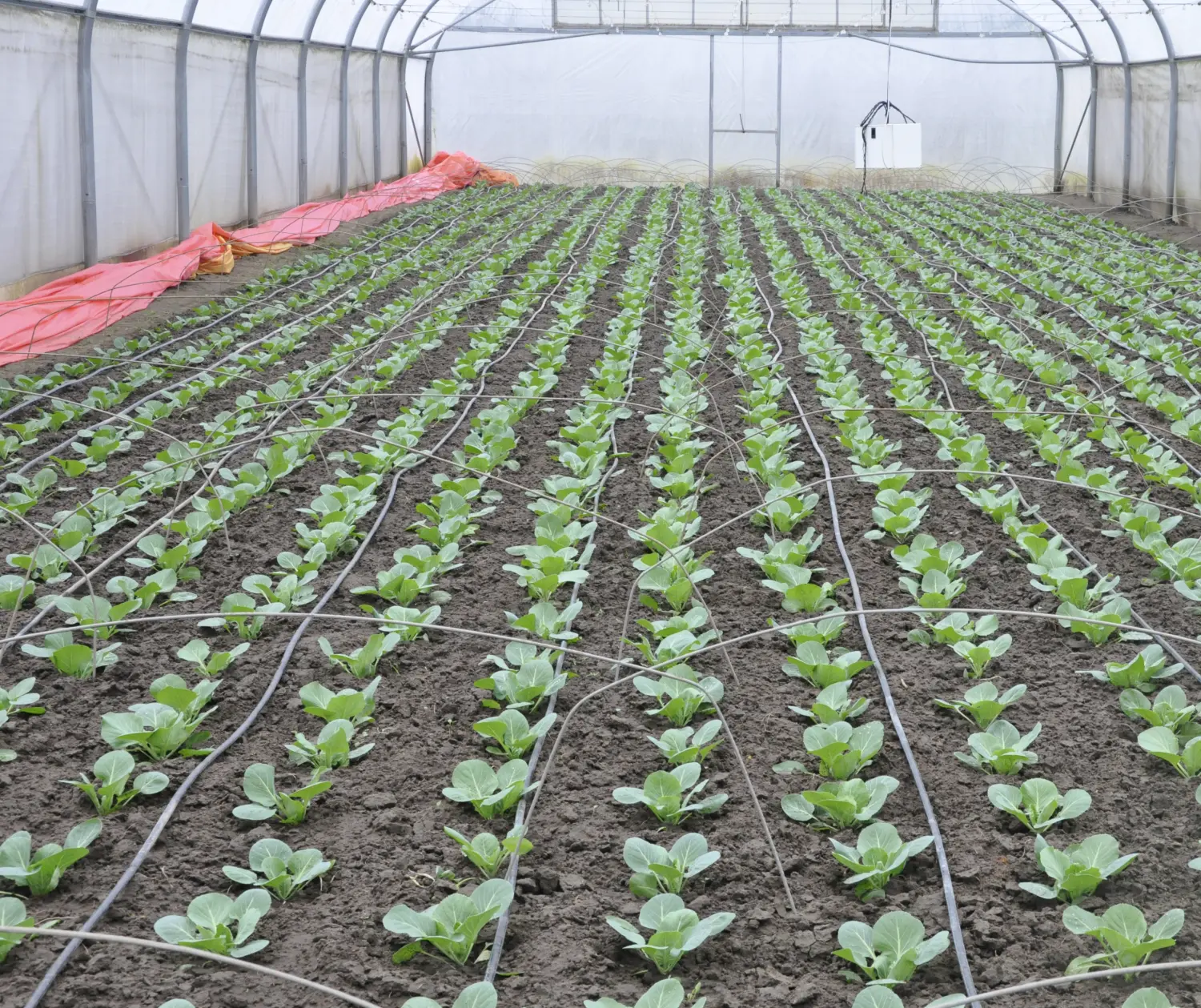 Агротекс двойная защита Красно-желтый 40, 3,0*100 м, рул