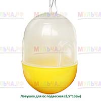 Простая, но эффективная ловушка для ос