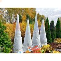 Защитить туи от ветра и низких температур поможет специальный чехол-укрытие