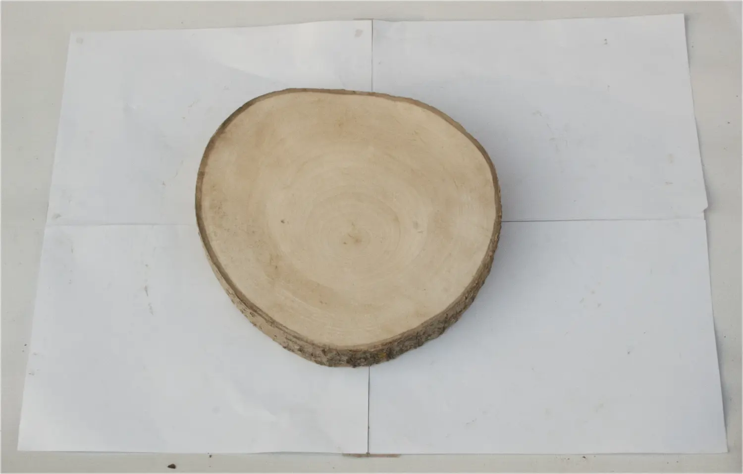 Спил осина шлифовка СОсШ1, (Ø 30-35 см, h 3см), шт