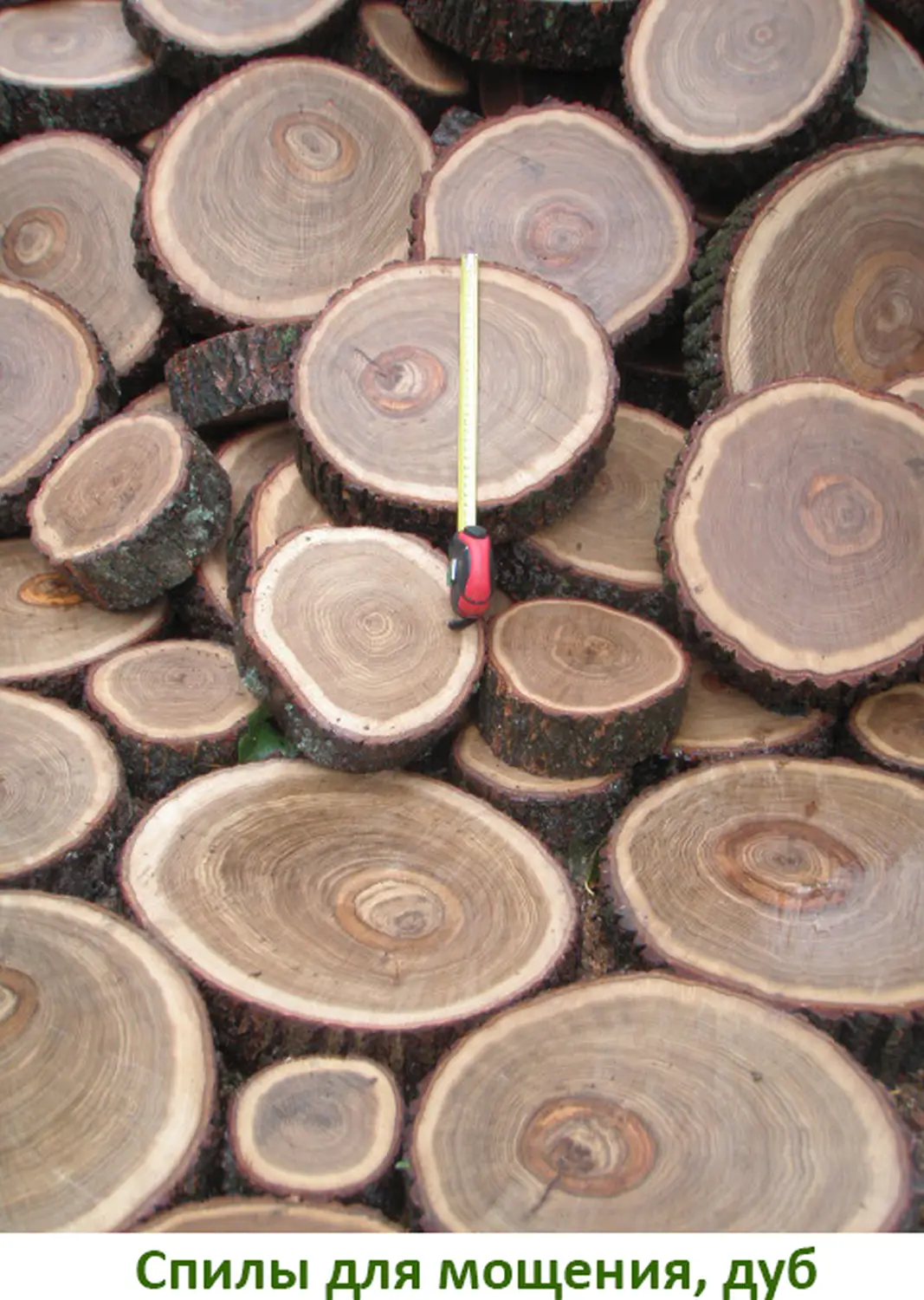 Спилы поквадратно дуб для мощения, (Ø 10-35см, h 8см), м.кв.
