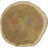 Для поделок и декора - спилы дуба с двухсторонней шлифовкой