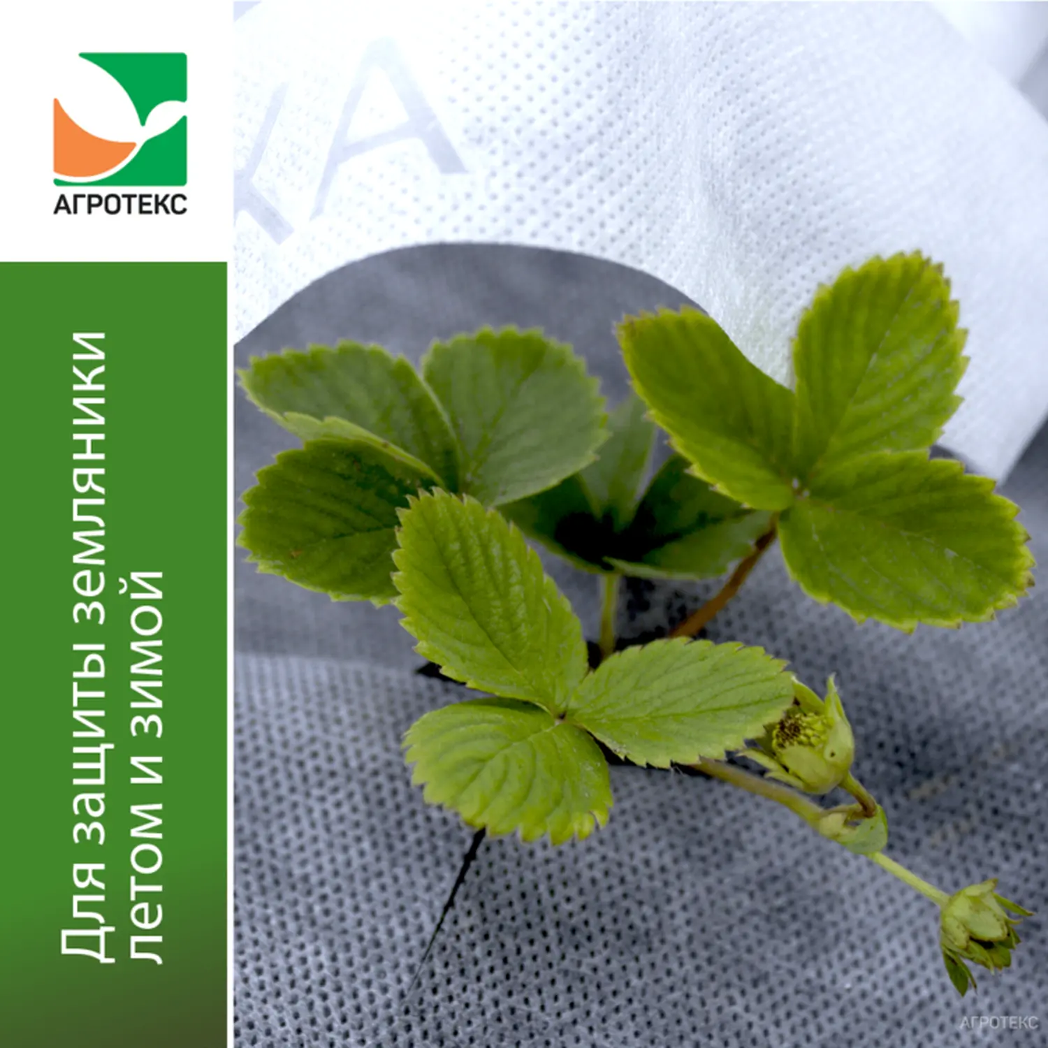 Агротекс Комплект для земляники, уп
