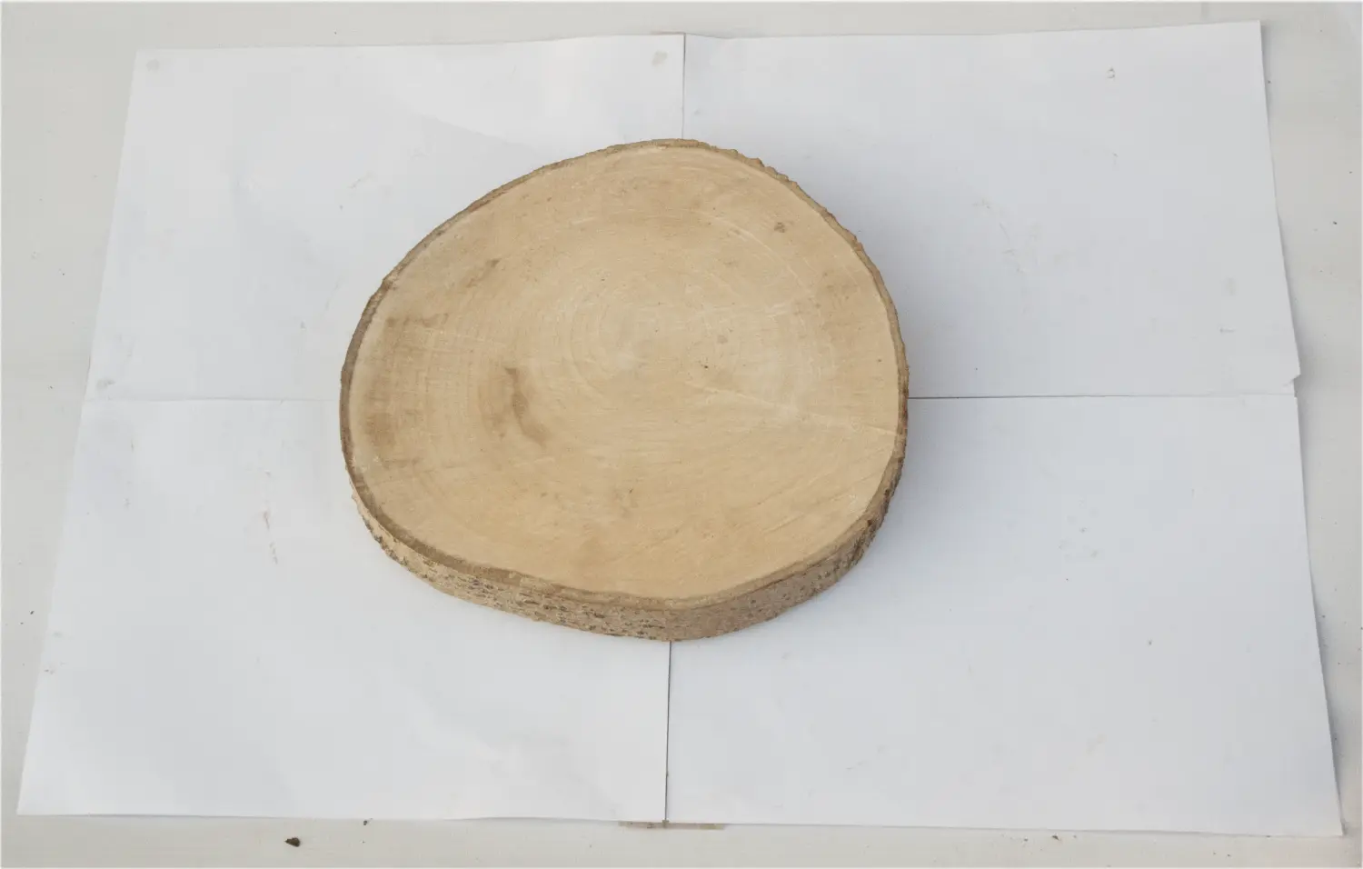 Спил осина без шлифовки СОс, (Ø 30-35 см, h 3см), шт