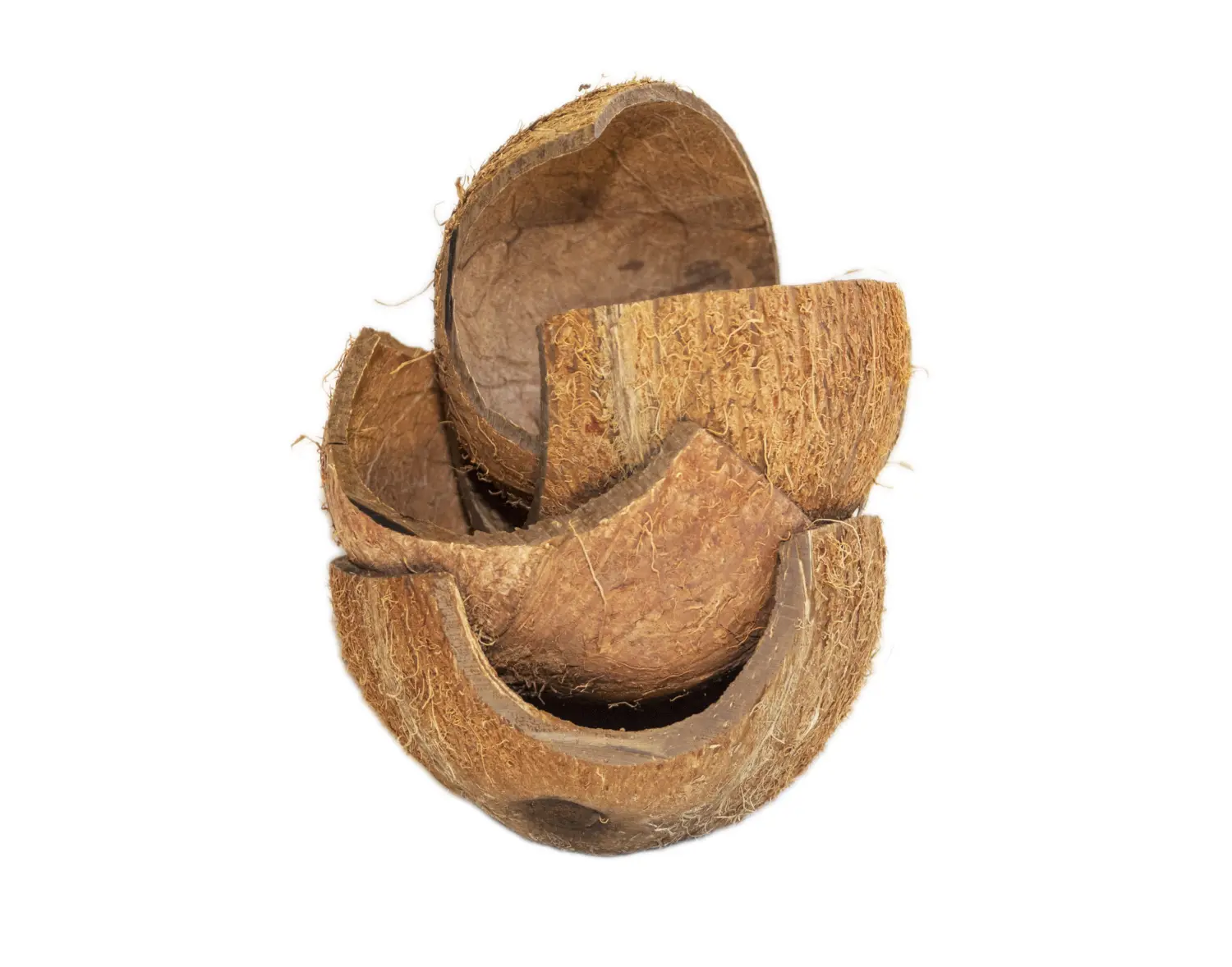 FM Скорлупа кокосового ореха с отверстием (половинка) домик для грызунов, шт