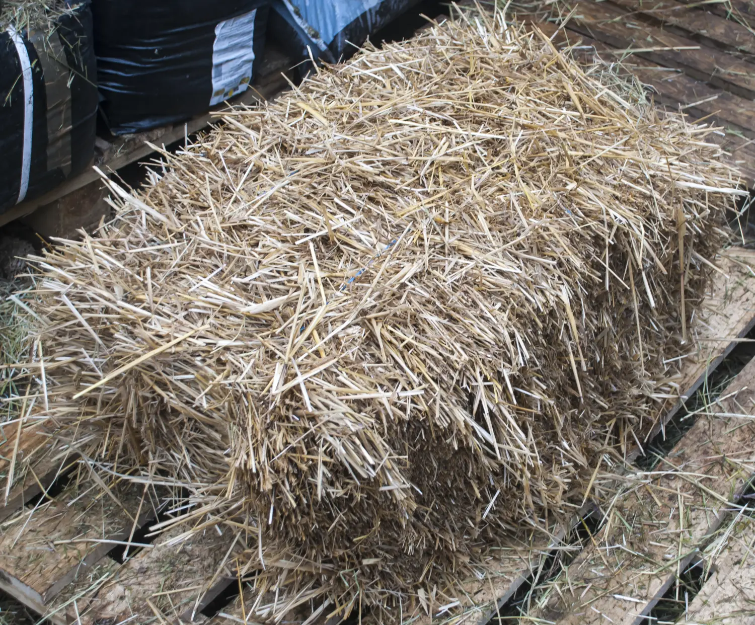 Солома золотистая, тюк