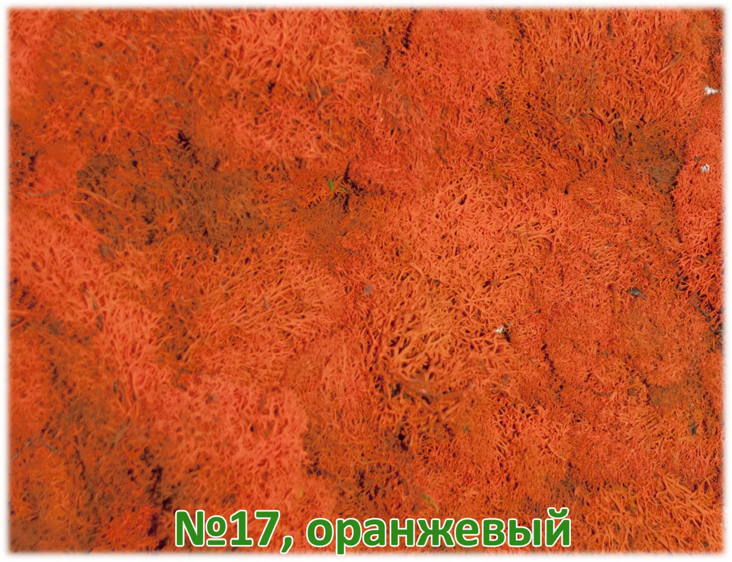 Мох стабилизированный №17 оранжевый, 30*40 см, пак
