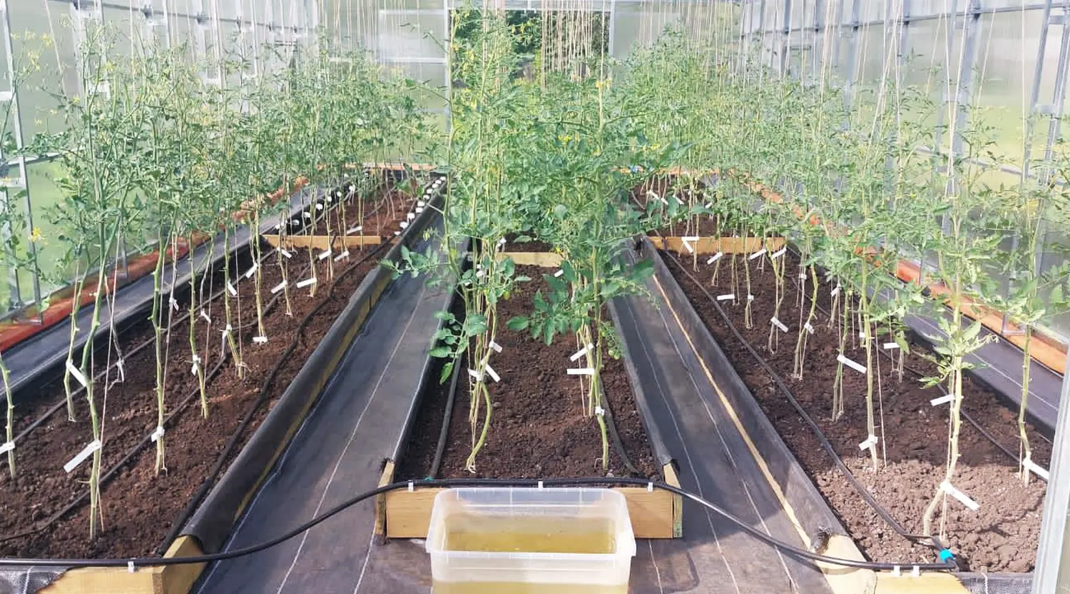 Агротекс Геоткань 150, Черный, 4,2*100 м, рул.