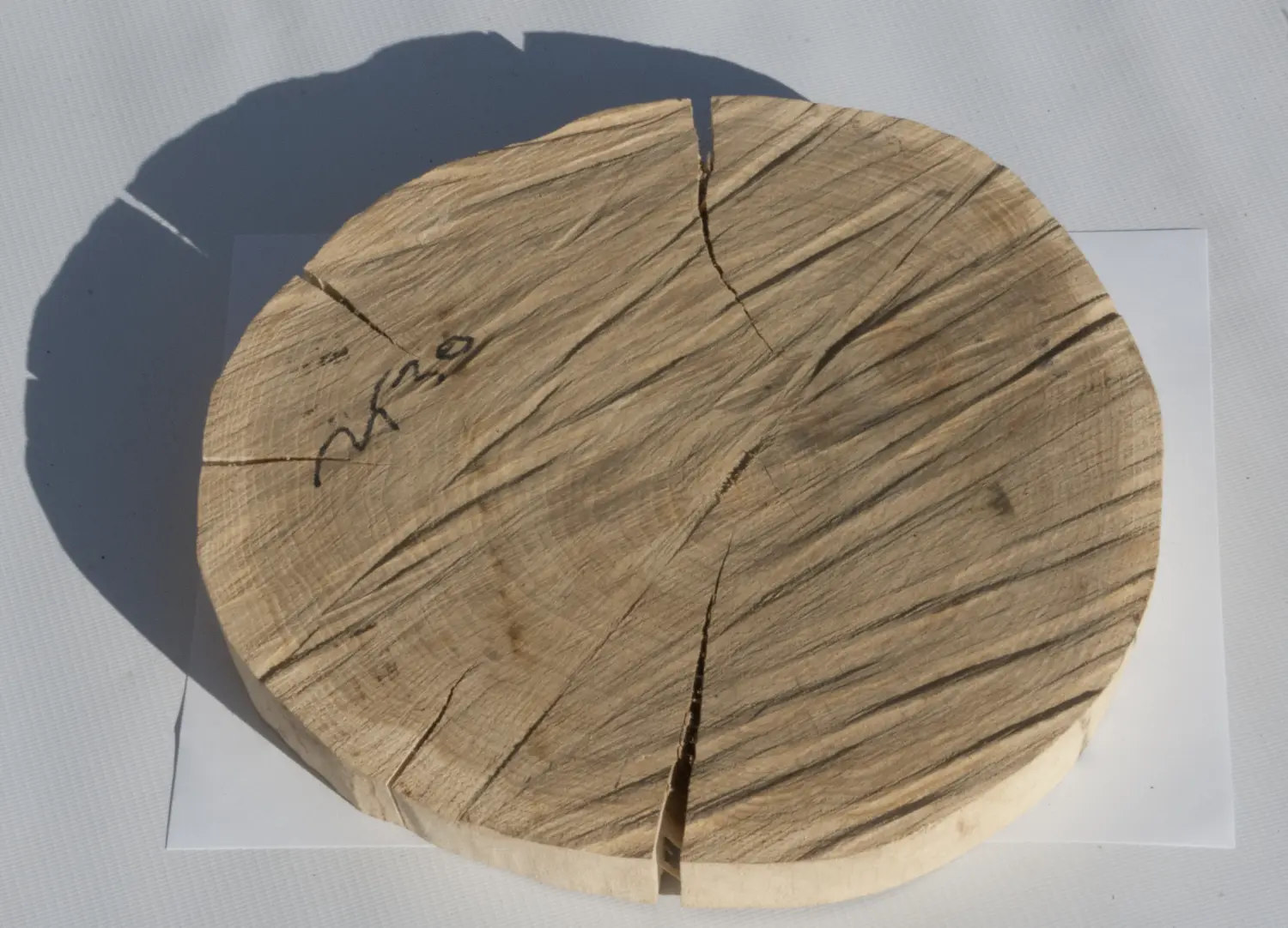 Спил дуб шлифовка СДШ2, (Ø 25-30см, h 3см), шт