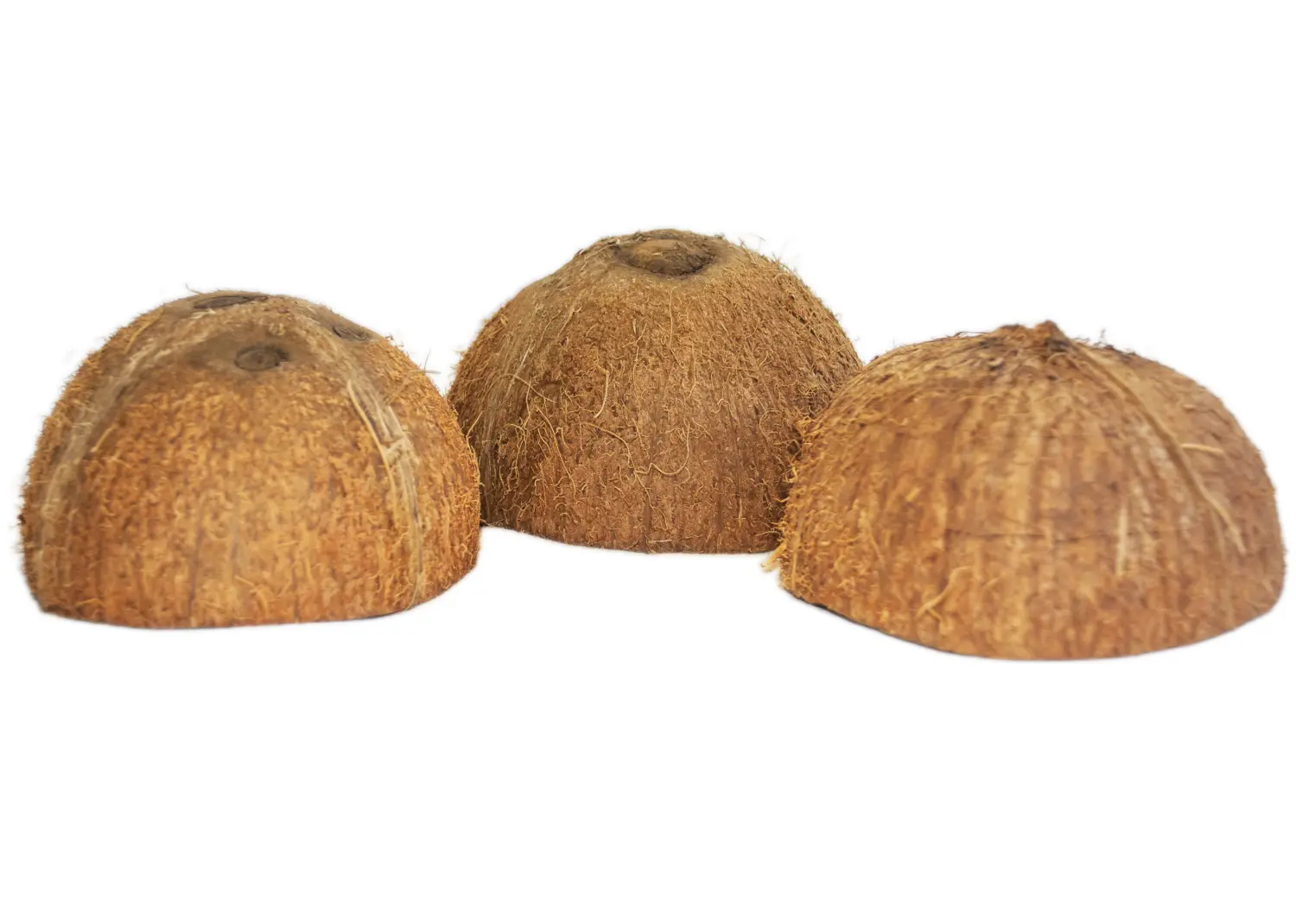 FM Скорлупа кокосового ореха с отверстием (половинка) домик для грызунов, шт