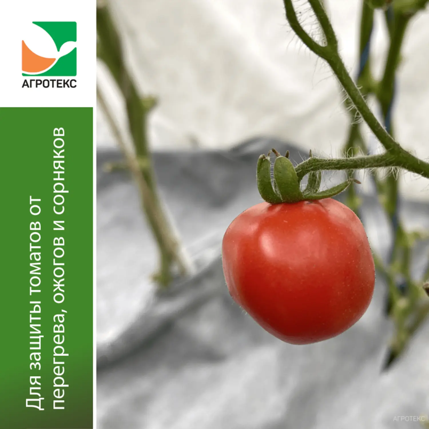 Агротекс Комплект для томатов, уп