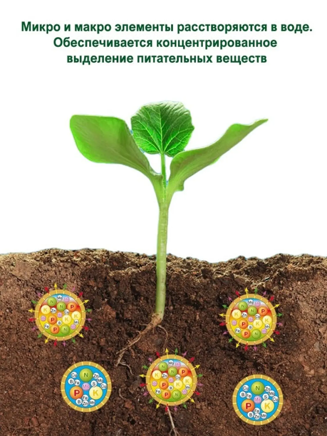 Осмокот Про (Osmocote Pro) 19-9-10+2MgO+ТЕ 5-6 месяца, 1 кг