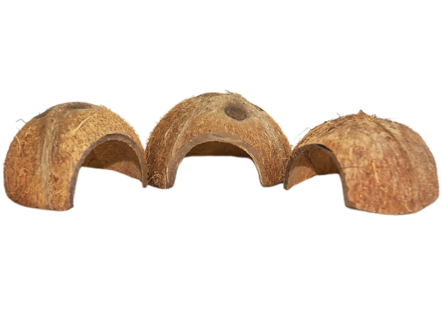 FM Скорлупа кокосового ореха с отверстием (половинка) домик для грызунов, шт