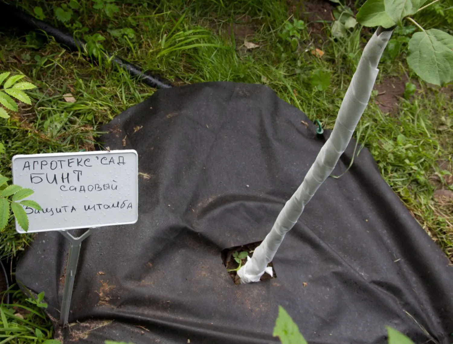 Бинт садовый отрывной УФ, 0,16*50 м