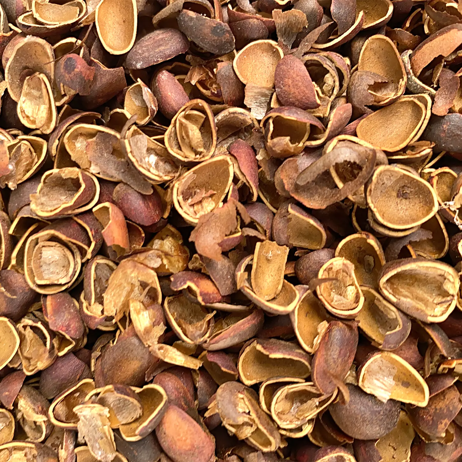 Скорлупа кедрового ореха, 90 л