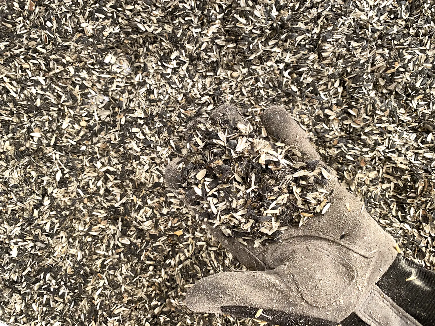 Шелуха подсолнечника, 60 л