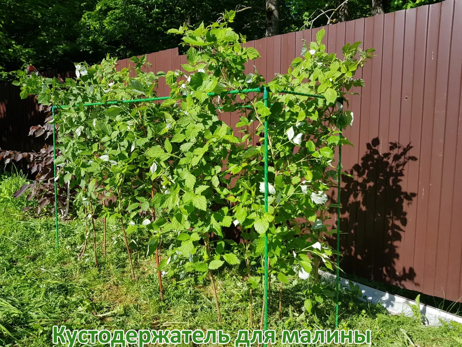 Кустодержатель для малины, композитный,  h 125 * 150 * 55 см, шт