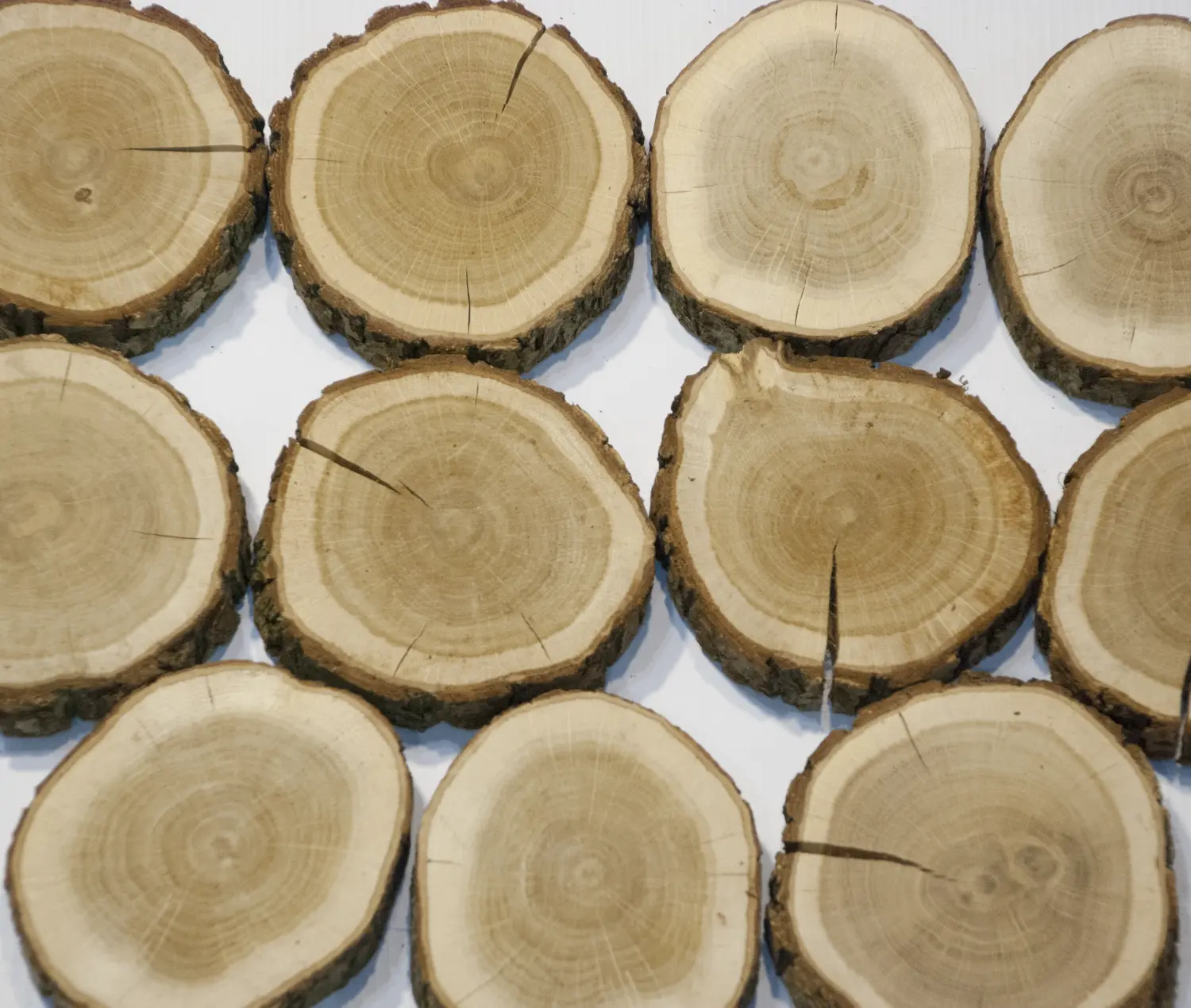 Спилы поквадратно дуб шлифовка С корой, (Ø 2-15см, h 1,5-2см), м.кв