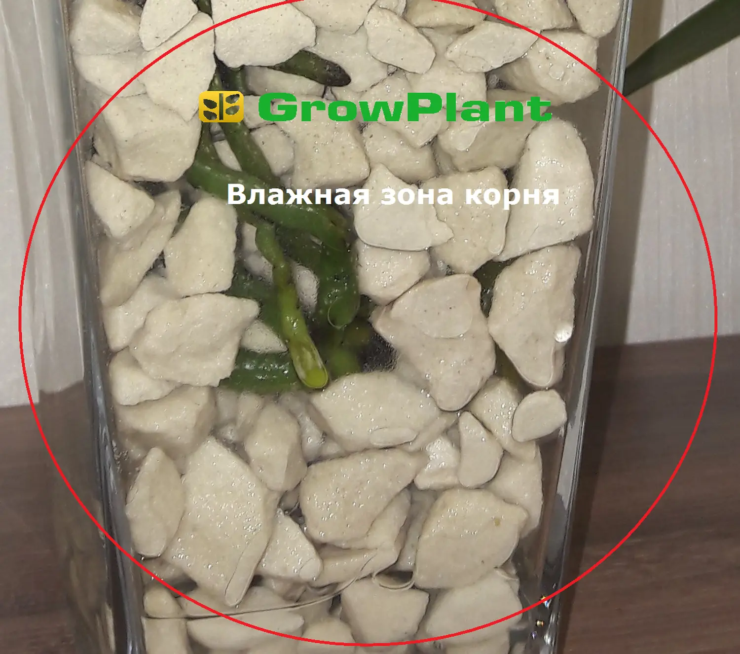 Пеностекло Субстрат Growplant, фр.  0,8-5 мм, зеленый, 50 л 