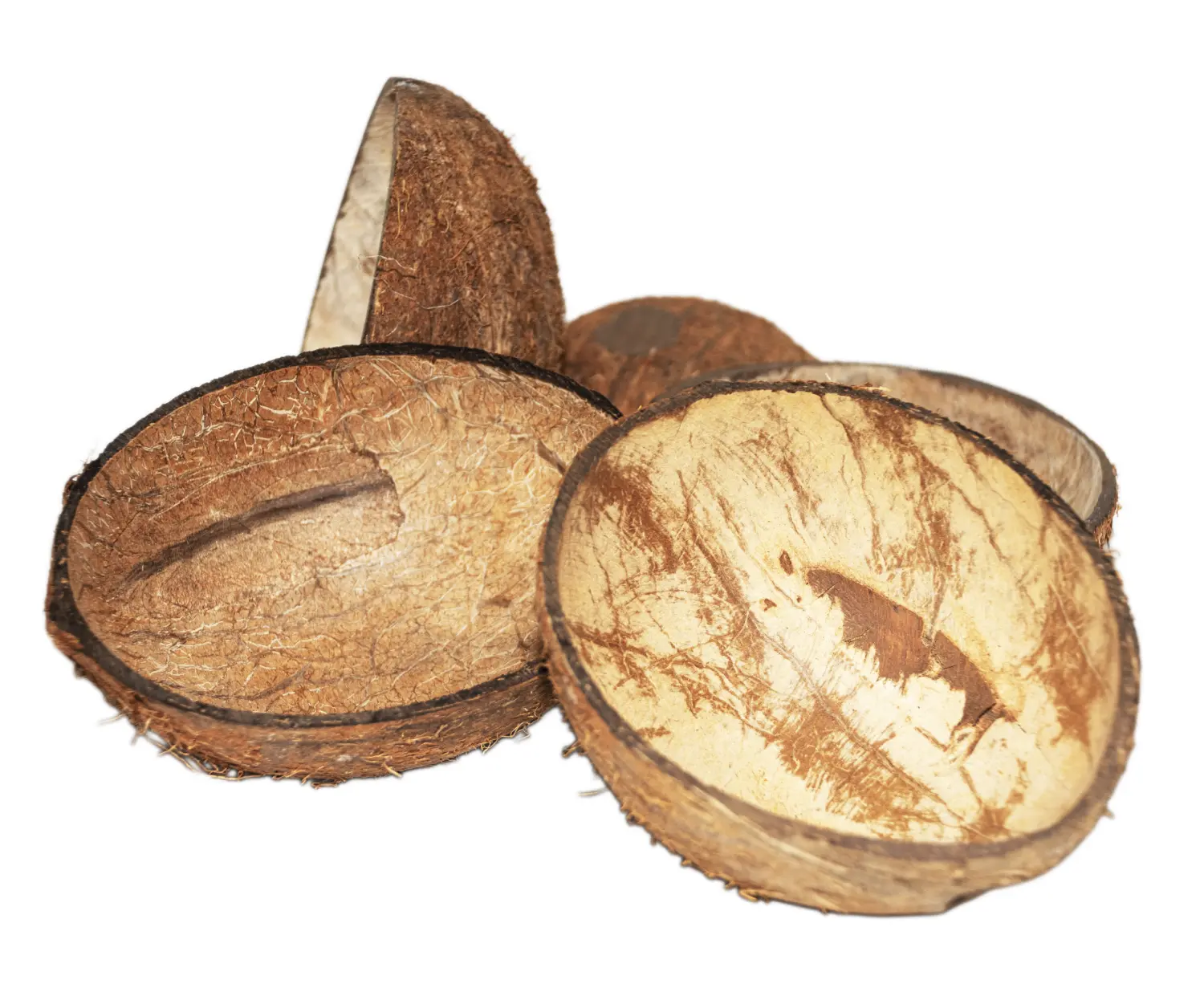 FM Скорлупа кокосового ореха с отверстием (половинка) домик для грызунов, шт