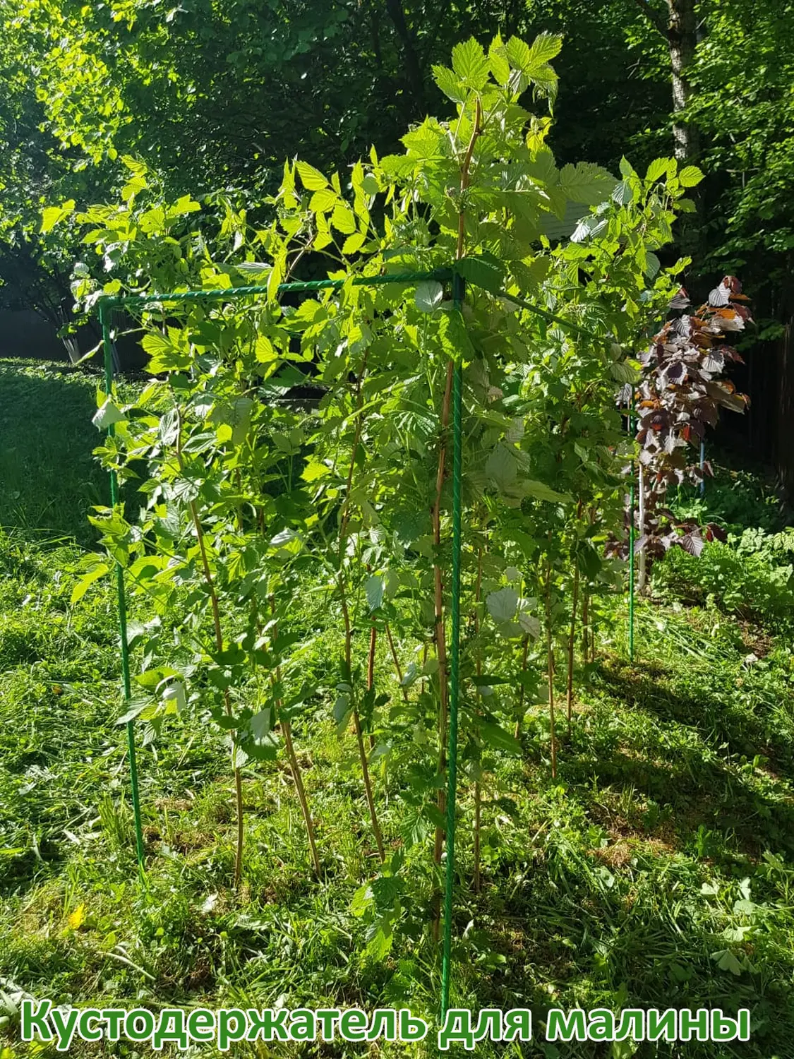 Кустодержатель для малины, композитный,  h 125 * 150 * 55 см, шт