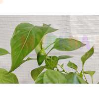 Прочный укрывной материал из армированного сеткой нетканки