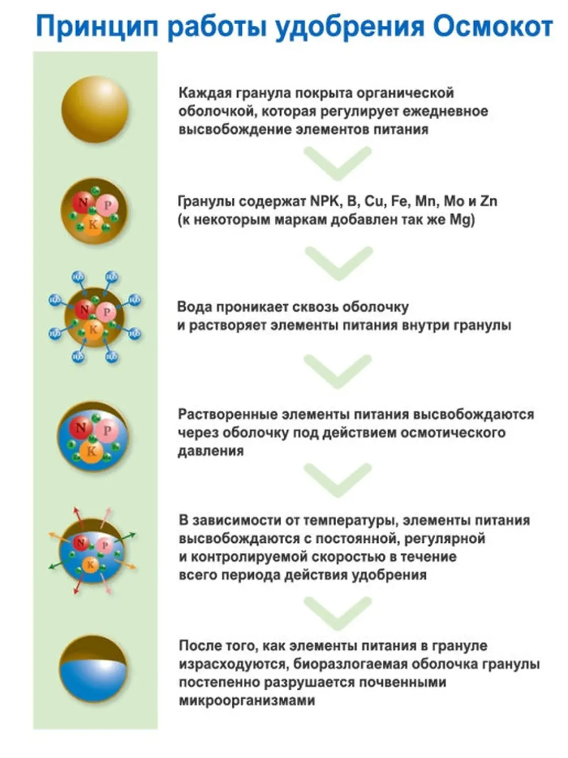 Осмокот Экзакт стандарт (Osmocote Exact  Standard) 16-9-12+MgO+TE 3-4 месяцев, 1 кг