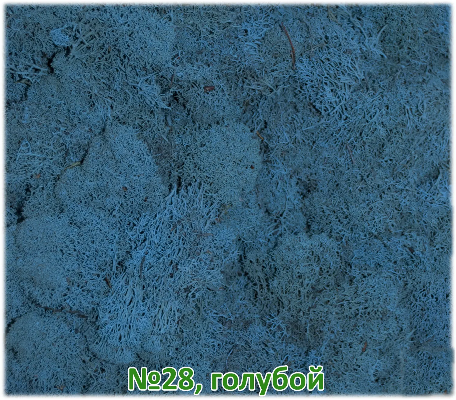 Мох стабилизированный №28 голубой, 30*40 см, пак