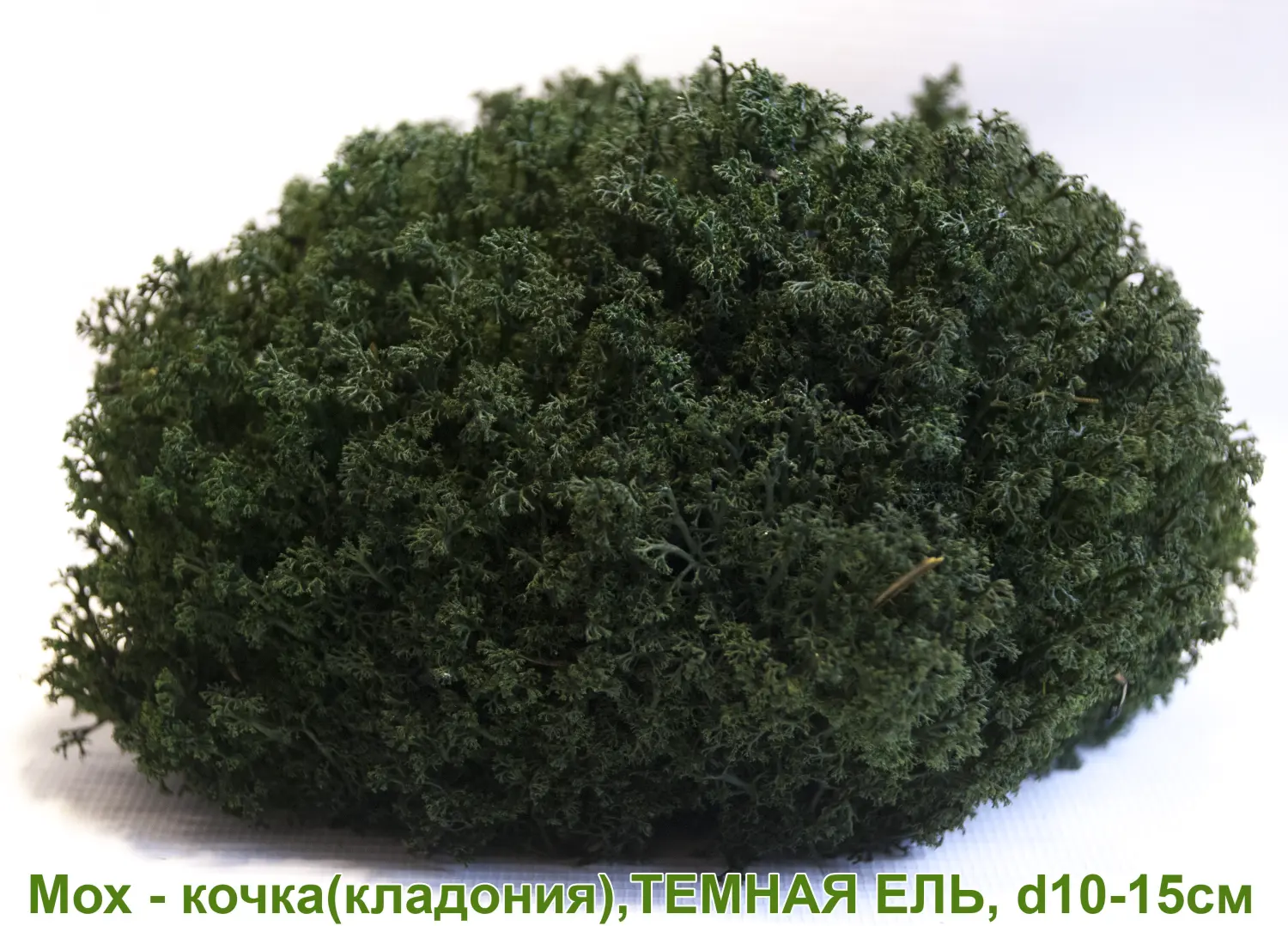 Мох - кочка 'кладония', Темная ель, Ø 10-15 см, шт