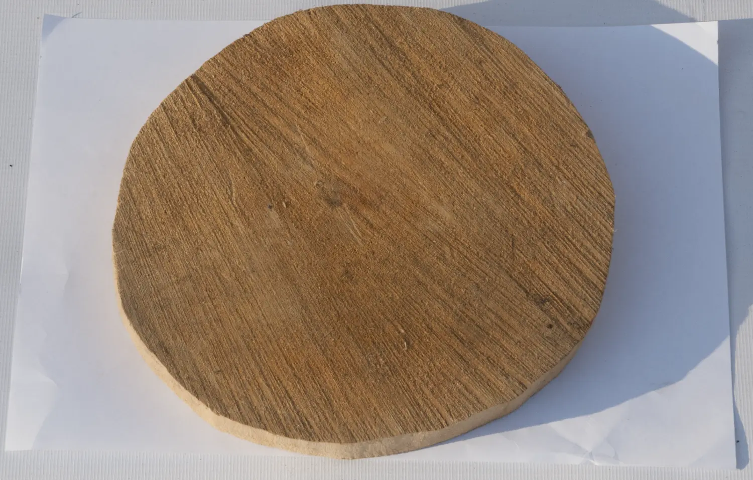 Спил ольха шлифовка СОлШ2 (Ø 20-25см, h 2см), шт
