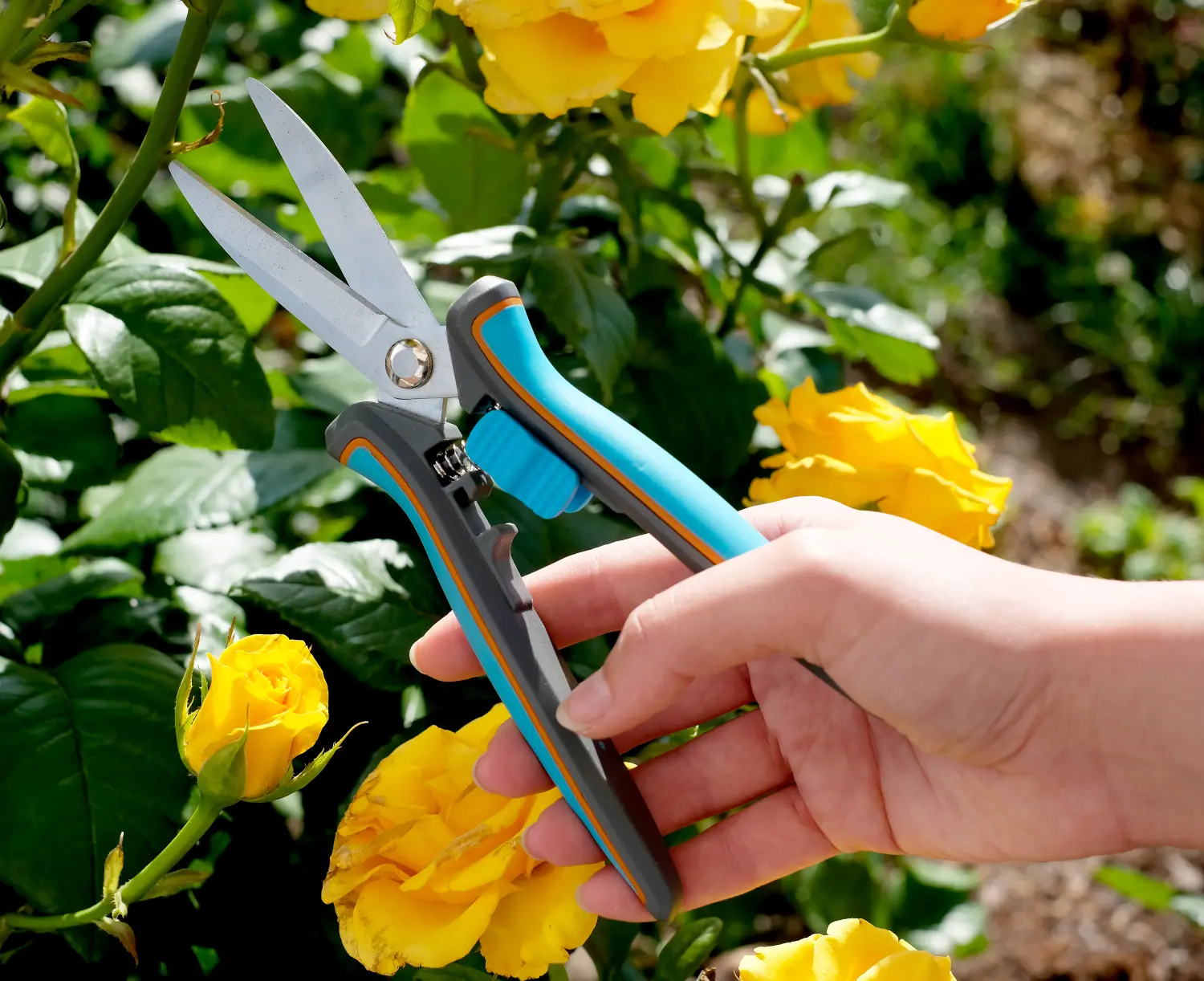 Plantic Ножницы для растений light L69 25269-01, шт