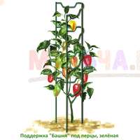 Металлическая опора повысит урожайность перцев