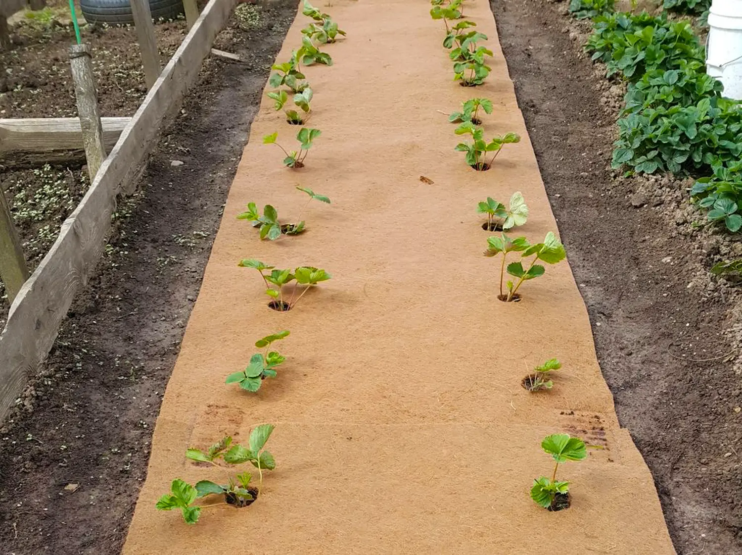 Nekura Укрытие кокосовое "Мульчаграм", 0,75 x 6 м, рул