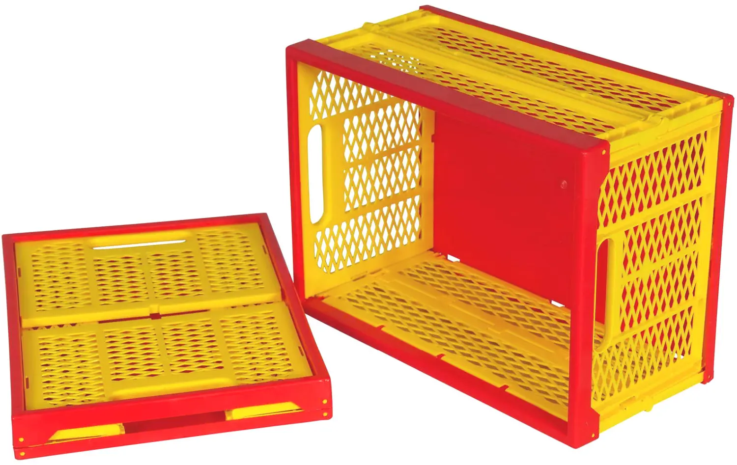 Ящик складной для урожая 38 л, ЦВЕТНОЙ, 34 x 48 x h5/23 см, шт