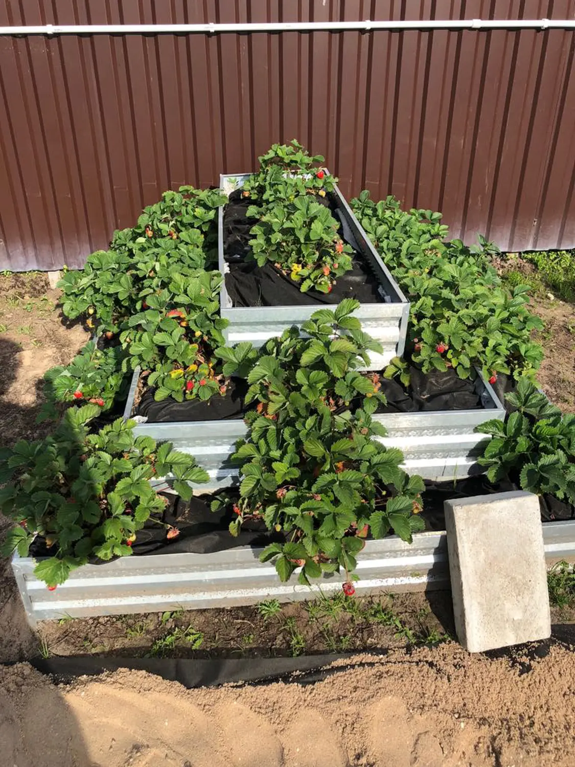 3-х ярусная грядка Perfo "Пирамида Большая квадратная", металл, h 0,6 x 2,0 * 1,4 * 0,8 м, уп