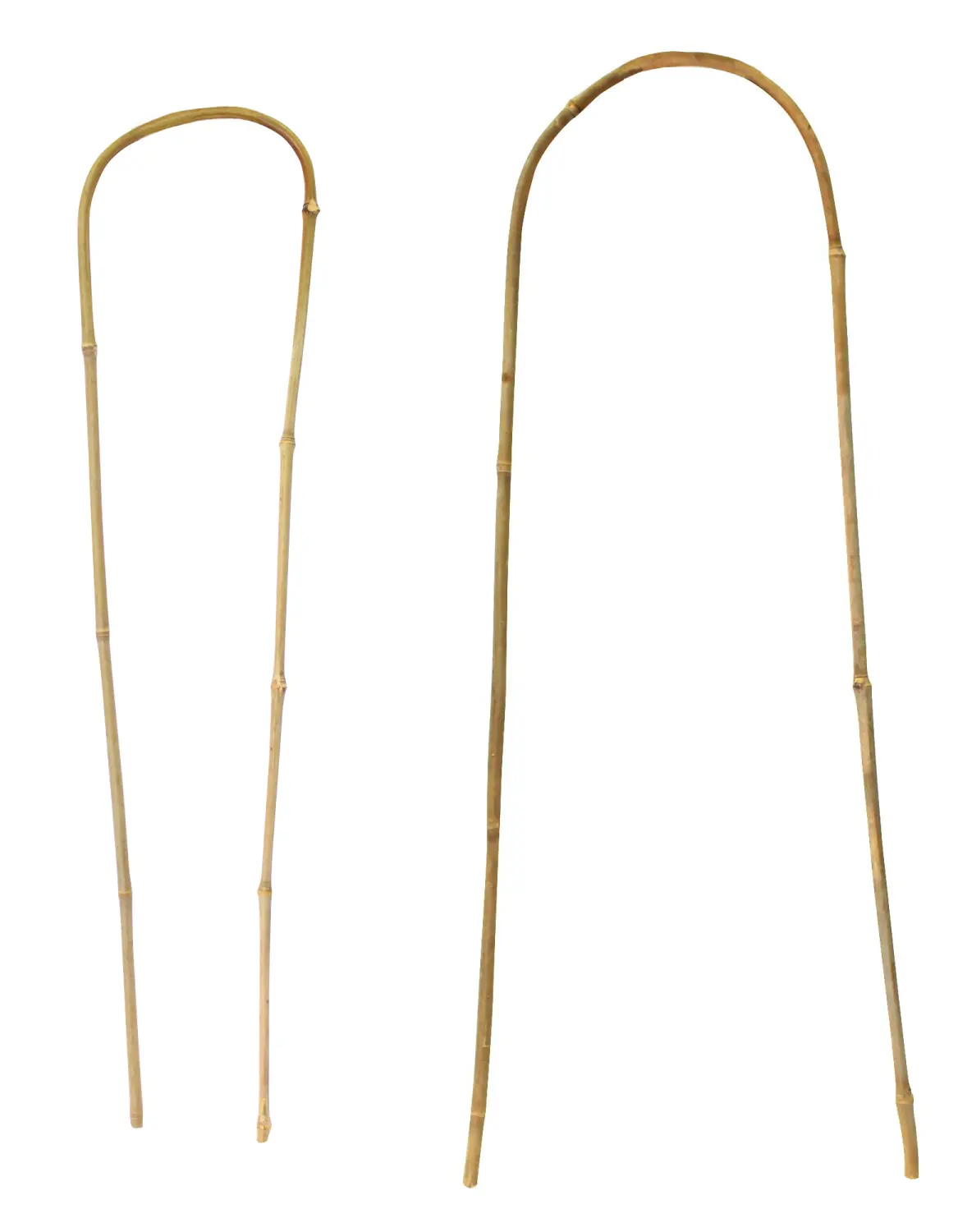 Опора для растений из бамбука, U форма,  h 60 см, шт