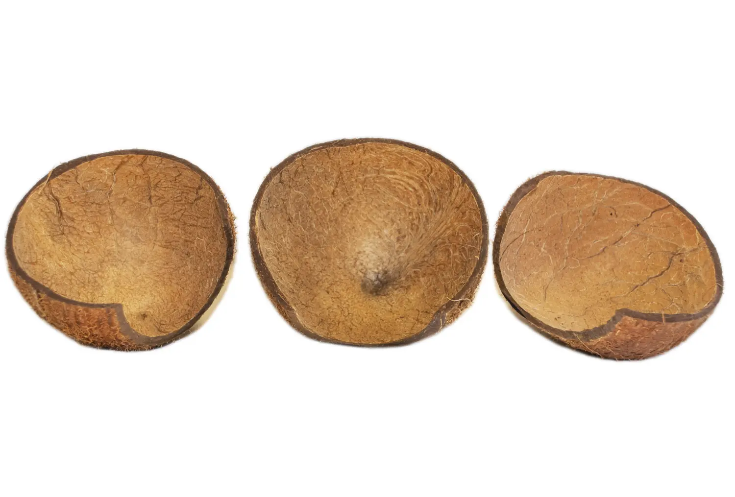 FM Скорлупа кокосового ореха с отверстием (половинка) домик для грызунов, шт